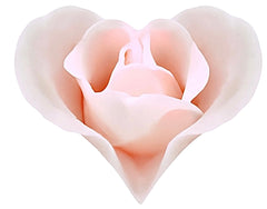 The Vixen "Lingerie" Box